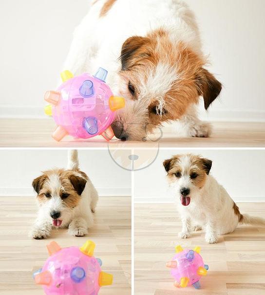 Jumping & Dancing Light-Up Ball Toy - Interactive Fun for Pets & Kids