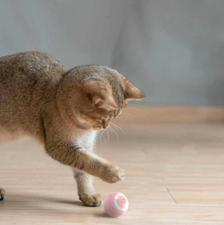 Smart Bouncing Cat Toy Ball – Automatic Rolling for Indoor Kittens