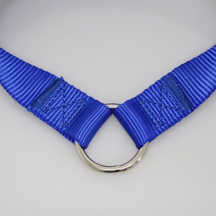 2-in-1 Tangle-Free Pet Leash – Dual Lead for Walking Two Dogs Simultaneously