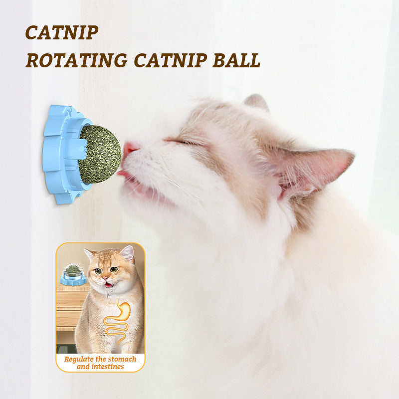 Lion Catnip Molar Pet Toy Can Be Pasted Cat Toy