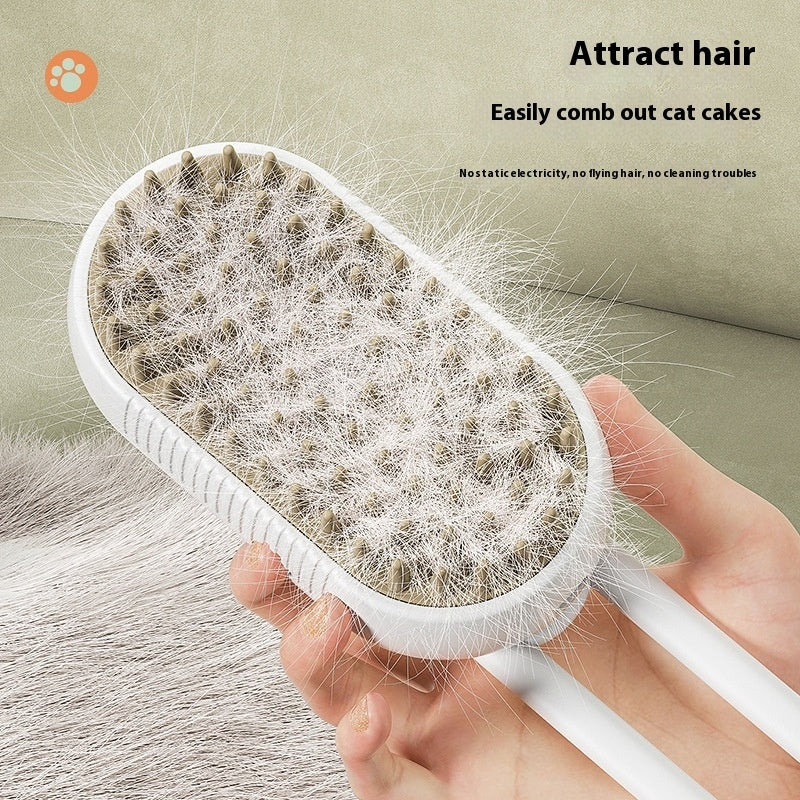 Spray Cleaning Supplies Pet Spray Massage Comb